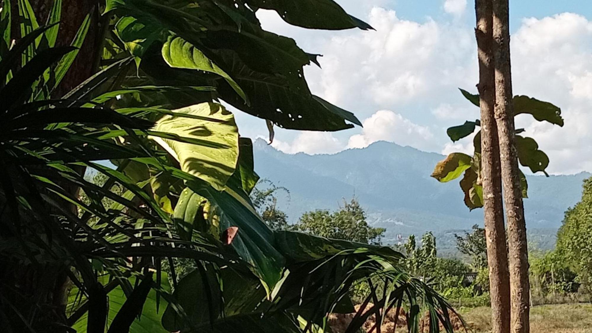 Chill In Pai Hotel Phòng bức ảnh